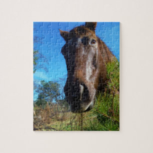 Brown & Cream Coloured Horse blue sky Jigsaw Puzzle
