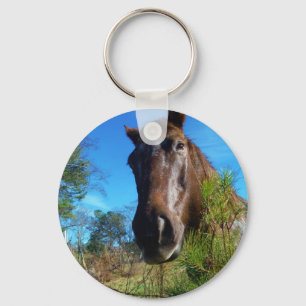 Brown & Cream Coloured Horse blue sky Key Ring