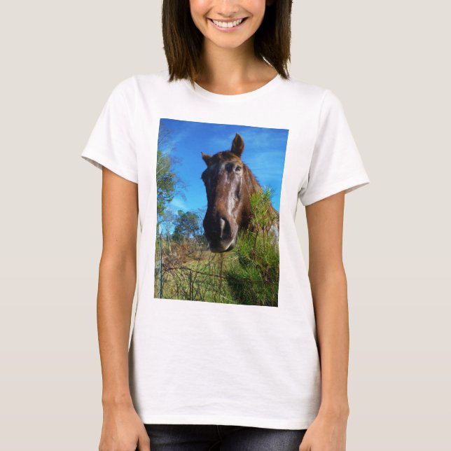 Brown & Cream Coloured Horse blue sky T-Shirt (Front)