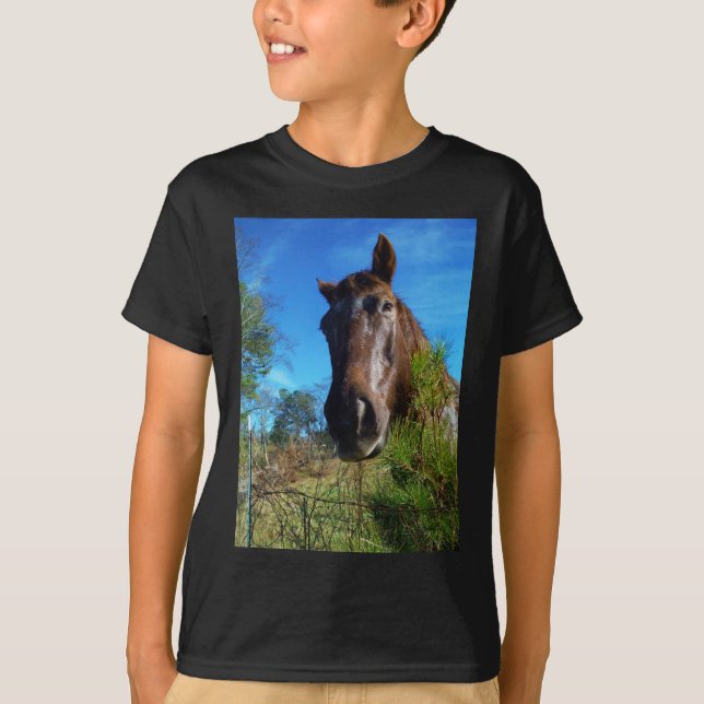 Brown & Cream Coloured Horse blue sky T-Shirt (Front)
