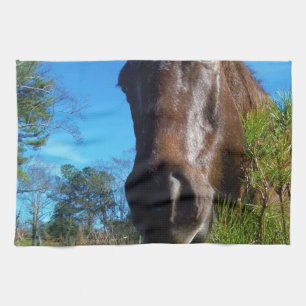 Brown & Cream Coloured Horse blue sky Tea Towel