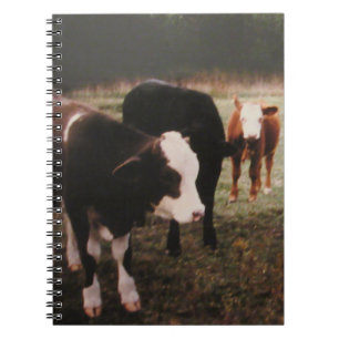 Brown Cream Cows Notebook