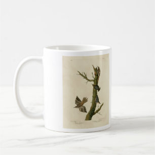 Brown Creeper, Pygmy Nuthatch from Audubon's Birds Coffee Mug