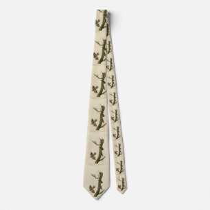 Brown Creeper, Pygmy Nuthatch from Audubon's Birds Tie