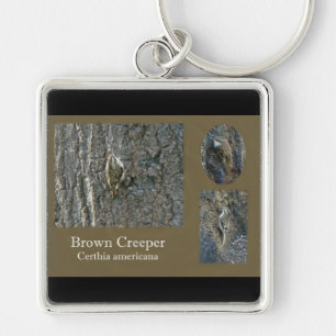 Brown Creeper Songbird Coordinating Items Key Ring