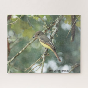 Brown Crested Flycatcher, bird lover's Jigsaw Puzzle