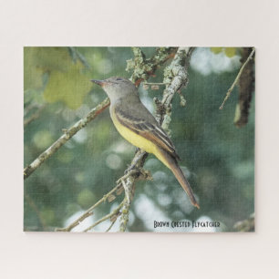 Brown Crested Flycatcher, bird lover's Jigsaw Puzzle