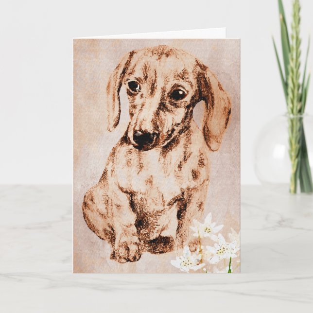 Brown Dachshund and Edelweiss Greeting Card (Front)