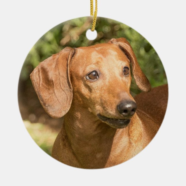 Brown Dachshund Doxie Dog Ceramic Ornament (Front)