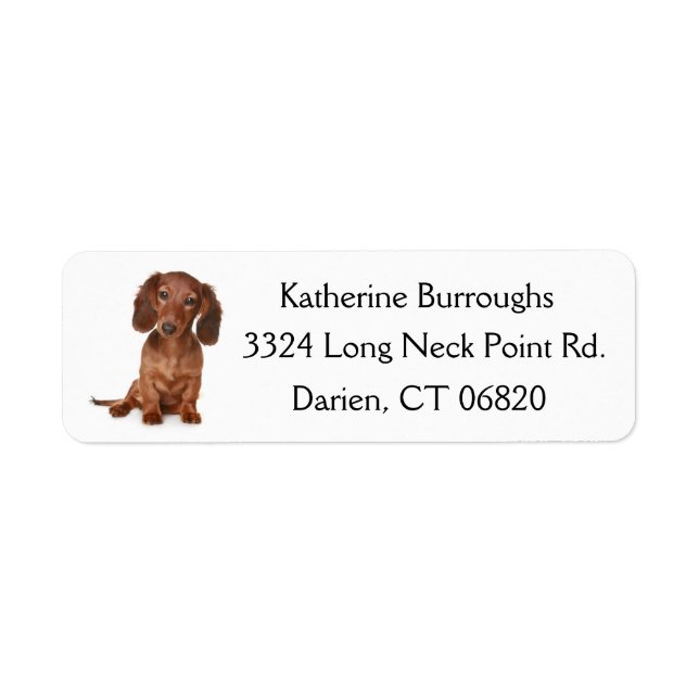 Brown Dachshund Puppy Dog Personalised Return Address Label (Front)