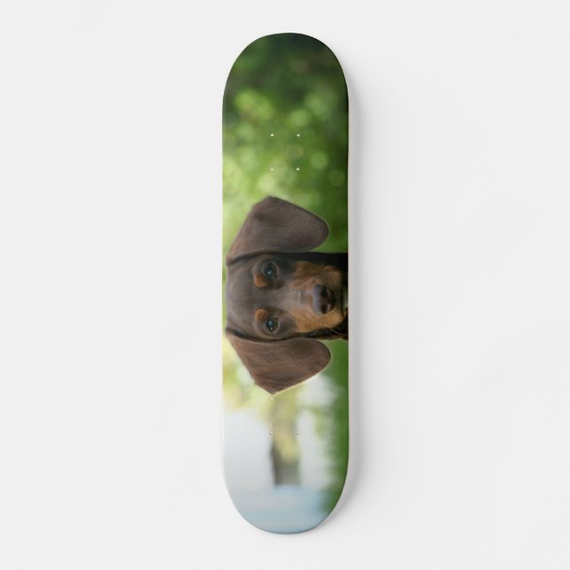Brown Dachshund Puppy Skateboard (Front)