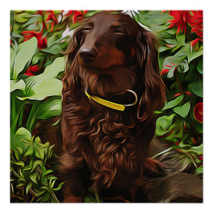 Brown Dachshund Sitting In The Garden With Flower Poster