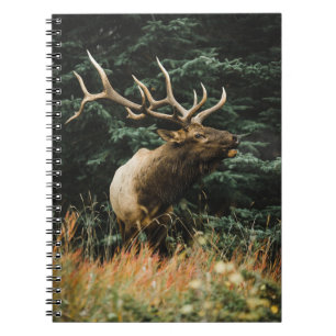 BROWN DEER ON GREEN GRASS DURING DAYTIME NOTEBOOK