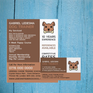 Brown Dog, Dog Trainer Advertising Flyer