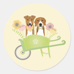Brown Dogs In Wheelbarrow Spring Flowers Classic Round Sticker