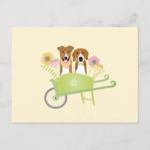 Brown Dogs In Wheelbarrow Spring Flowers Postcard