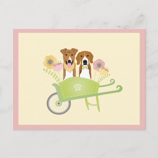 Brown Dogs In Wheelbarrow Spring Flowers Postcard (Front)