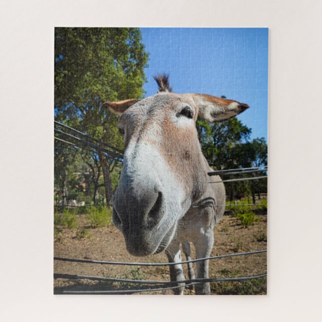 Brown donkey portrait on a sunny summer day jigsaw puzzle (Vertical)