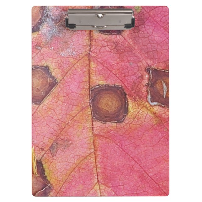 Brown Dotted Red Fall Leaf  Clipboard (Front)