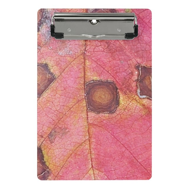 Brown Dotted Red Fall Leaf  Mini Clipboard (Front)