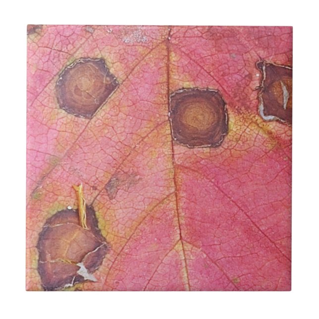 Brown Dotted Red Fall Leaf Throw Pillow Ceramic Tile (Front)