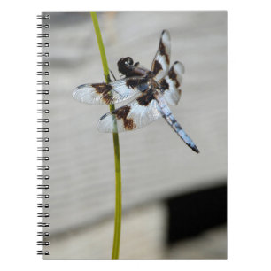 Brown Dragonfly Notebook Journal