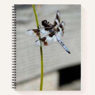 Brown Dragonfly Photo Notebook Journal