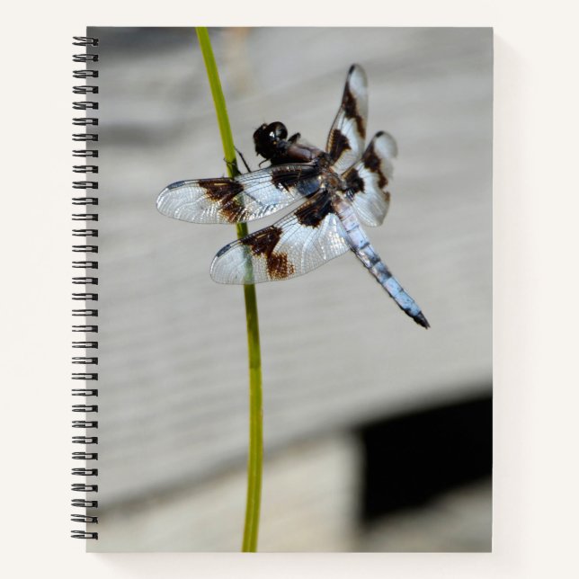 Brown Dragonfly Photo Notebook Journal (Front)