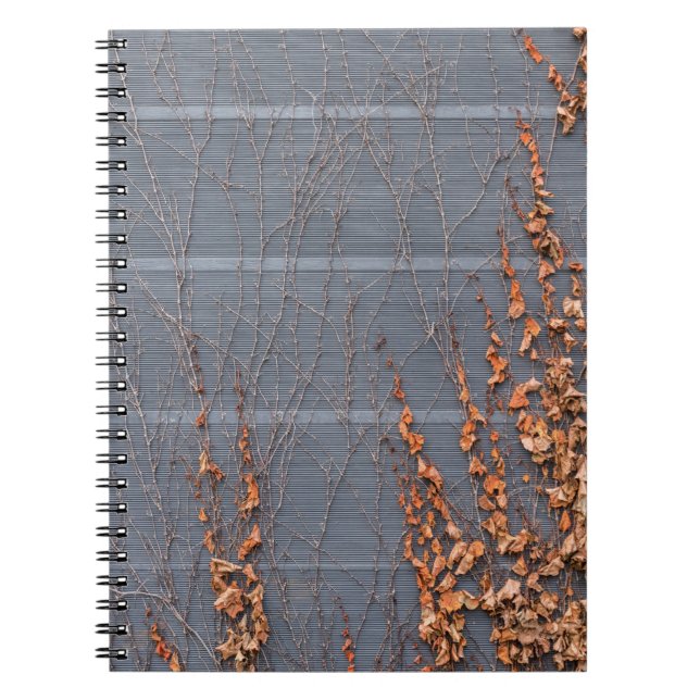 Brown dried leaves on water notebook (Front)