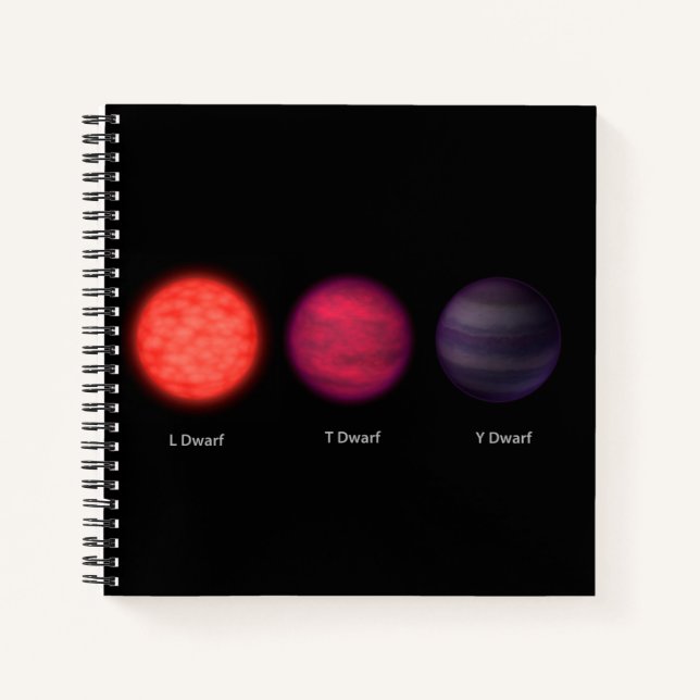 Brown Dwarfs As Seen By An Interstellar Traveller. Notebook (Front)