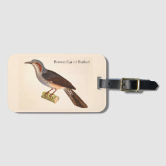 Brown Eared Bulbul Luggage Tag