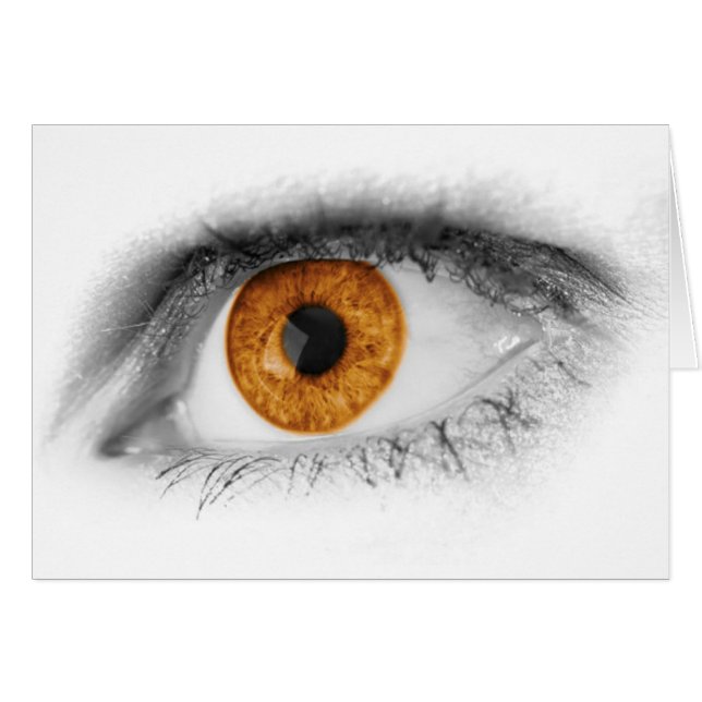 Brown Eye Art (Front Horizontal)