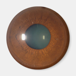 Brown eye magnet