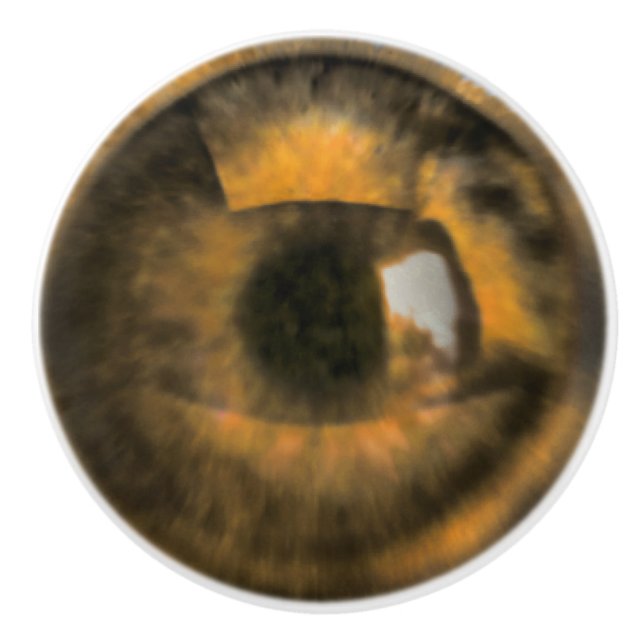 Brown Eyeball Ceramic Knob (Front)