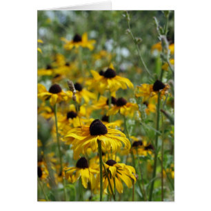 Brown Eyed Susan Card
