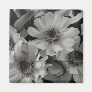 Brown Eyed Susan Flowers Magnet
