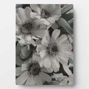 Brown Eyed Susan Flowers Plaque