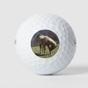 Brown Farm Horse Golf Balls