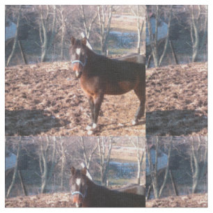 Brown Farm Horse Raleigh County Fabric