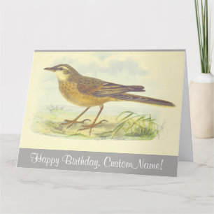 Brown-Feathered Bird Standing on the Ground Card