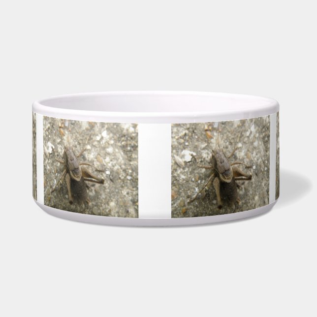 Brown Field Cricket Dog Bowl (Front)