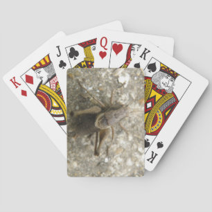 Brown Field Cricket Playing Cards