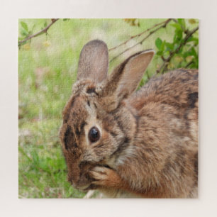 Brown Fluffy wild Bunny Rabbit OH MY Jigsaw Puzzle
