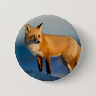 Brown Fox 6 Cm Round Badge
