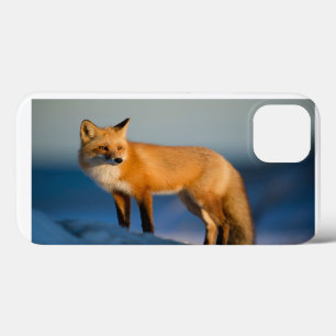 Brown Fox iPhone 13 Case