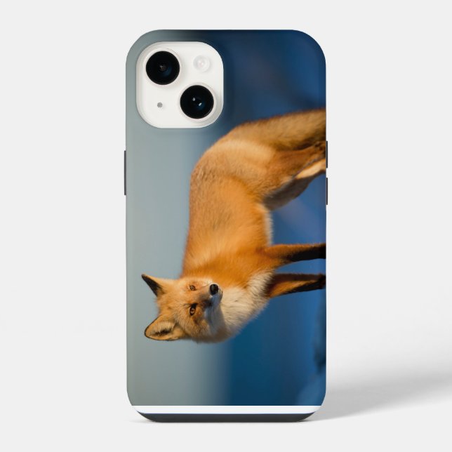 Brown Fox iPhone 14 Case (Back)