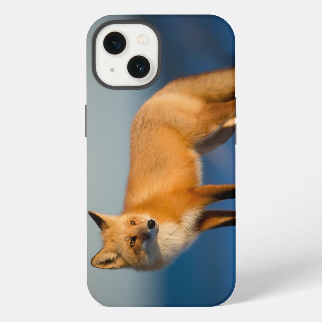 Brown Fox iPhone Case (Back)