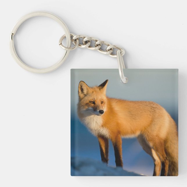 Brown Fox Key Ring (Front)
