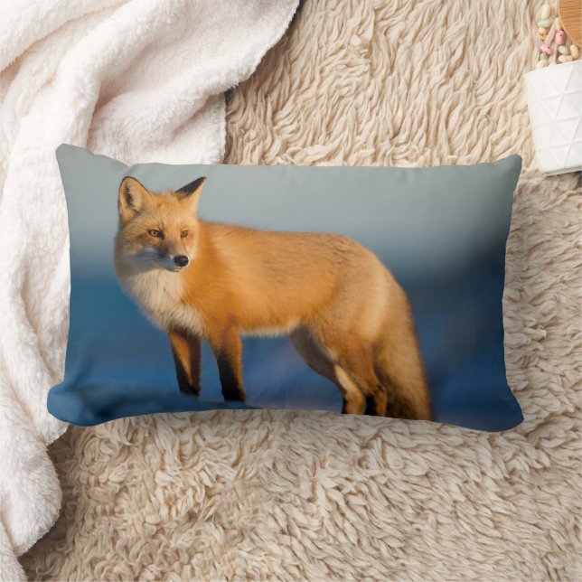 Brown Fox Lumbar Pillow (Blanket)