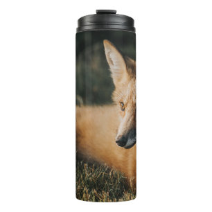 BROWN FOX ON GROUND THERMAL TUMBLER